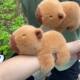 Shake Tone Same Kapibala Capybara Pop Doll Wrist Plush Toy Pat Doll Cartoon Pat Circle