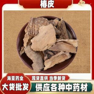 ��ș�� ����Ƥ ����Ƥ �����Ƥ ����Ƥ ���� ����ă�