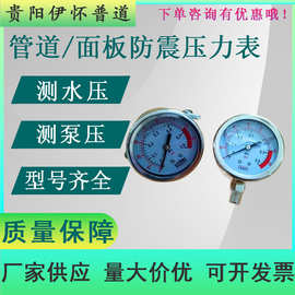 管道/面板式压力表0.6-3mpa水处理测试 压力专用反渗透设备配套表