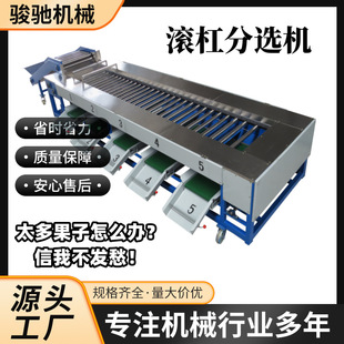 全自动滚杠分选机源头厂家 大型选果机食品大小果蔬分级分拣设备-阿里巴巴