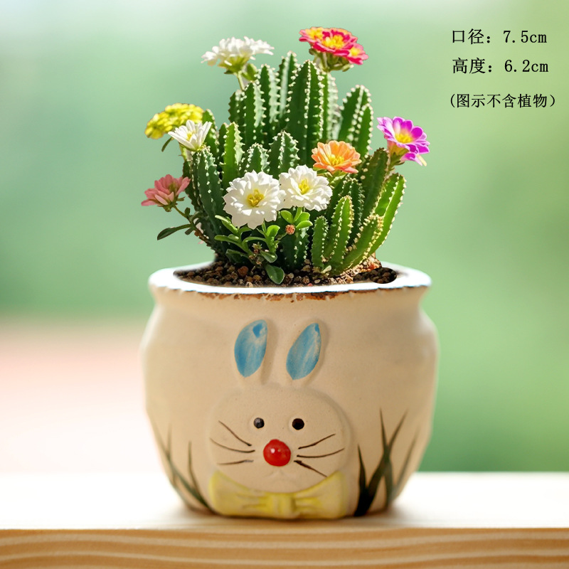 Maceta decorativa con diseño cartoon