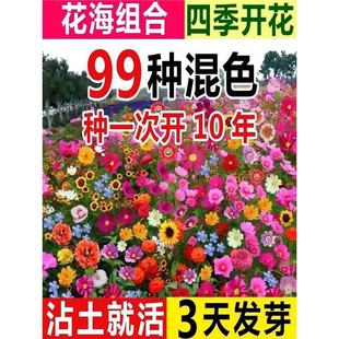 �ͺ����갫��Ұ���M�ϲ�˹�շN���ļ��׷N��ɣ����ͥԺ������ղ�