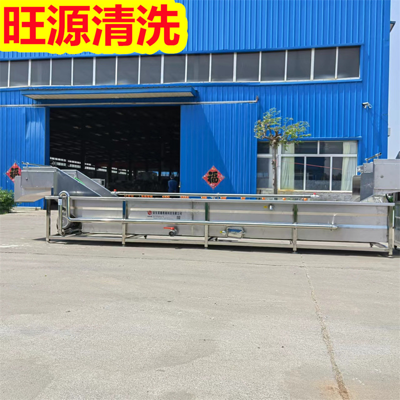 气泡清洗机 果蔬苹果气泡清洗机 叶类蔬菜全自动商用洗菜机