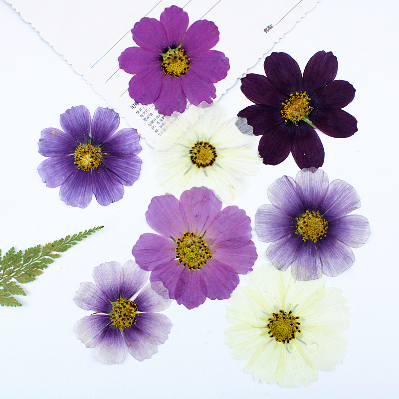 h2uTiviiztSHn2aJjQ1YWs2K5qfucIGu66Kv