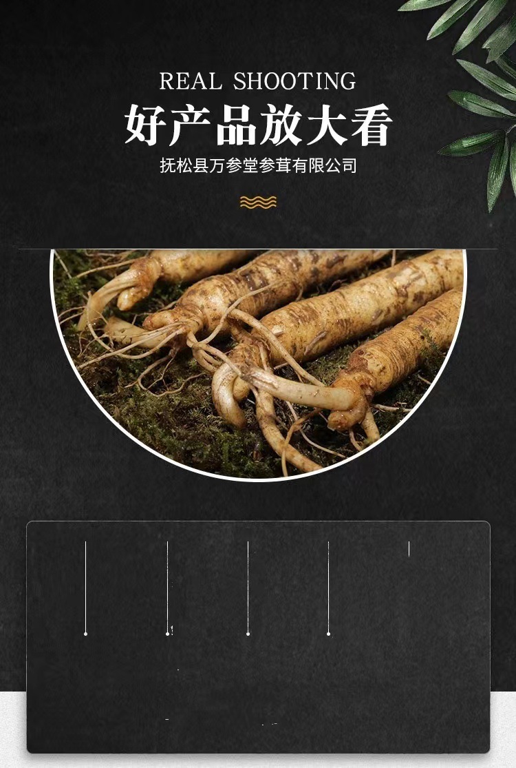 1993feb938ca2647c848399718499a