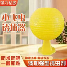�羳�Tω����ٴ�С��ω�T����Ϲ���ճ�x���T�x���T������ω��