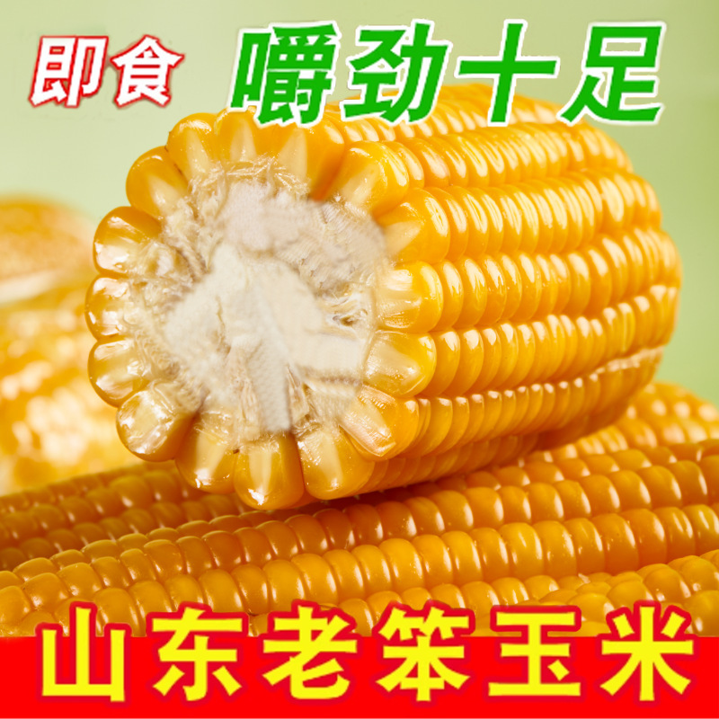 Vacuum-Sealed Traditional Corn, a Specialty from Shandong, Ready-To-Eat Yellow Corn, Whole Grains, Community Group Purchase, Wholesale Supply Vacuum-Sealed Traditional Corn, a Specialty from Shandong, Ready-To-Eat Yellow Corn, Whole Grains, Community Group Purchase, Wholesale Supply