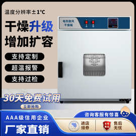 电热鼓风干燥箱实验室新款立式烘干高温老化定时恒温烤箱大型烘箱