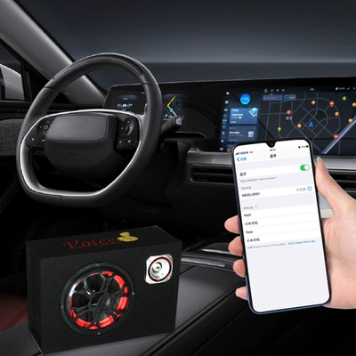 Car speaker/subwoofer – speaker