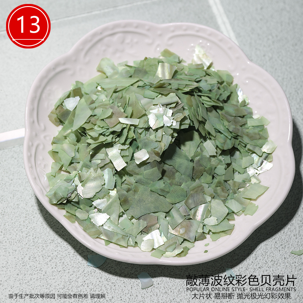 큰 조개껍데기 (색상 13)