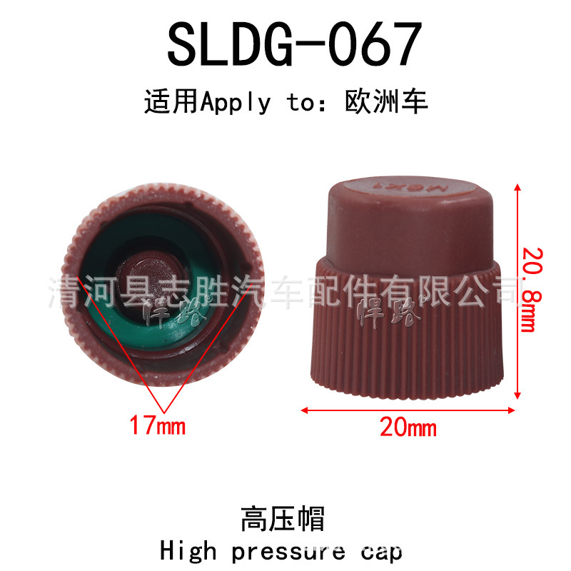 SLDG067-欧洲车 高压.jpg