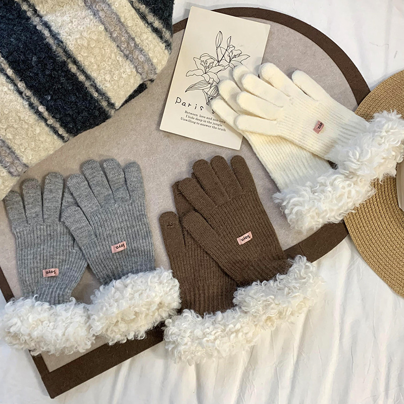 Nuevos guantes de borde de peluche coreanos para mujeres otoño invierno versátil grueso guantes de dedo de pantalla táctil de lana cálida