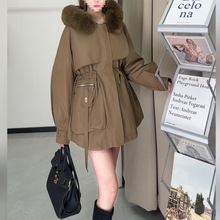 2025�¿������ë�I��ë��đ�ݿɲ�жһ�¶ഩ�ɿ˷�T2366