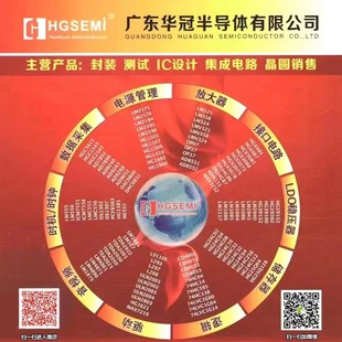 HGSEMI(�A��)    HT1621M/TR     SSOP-48