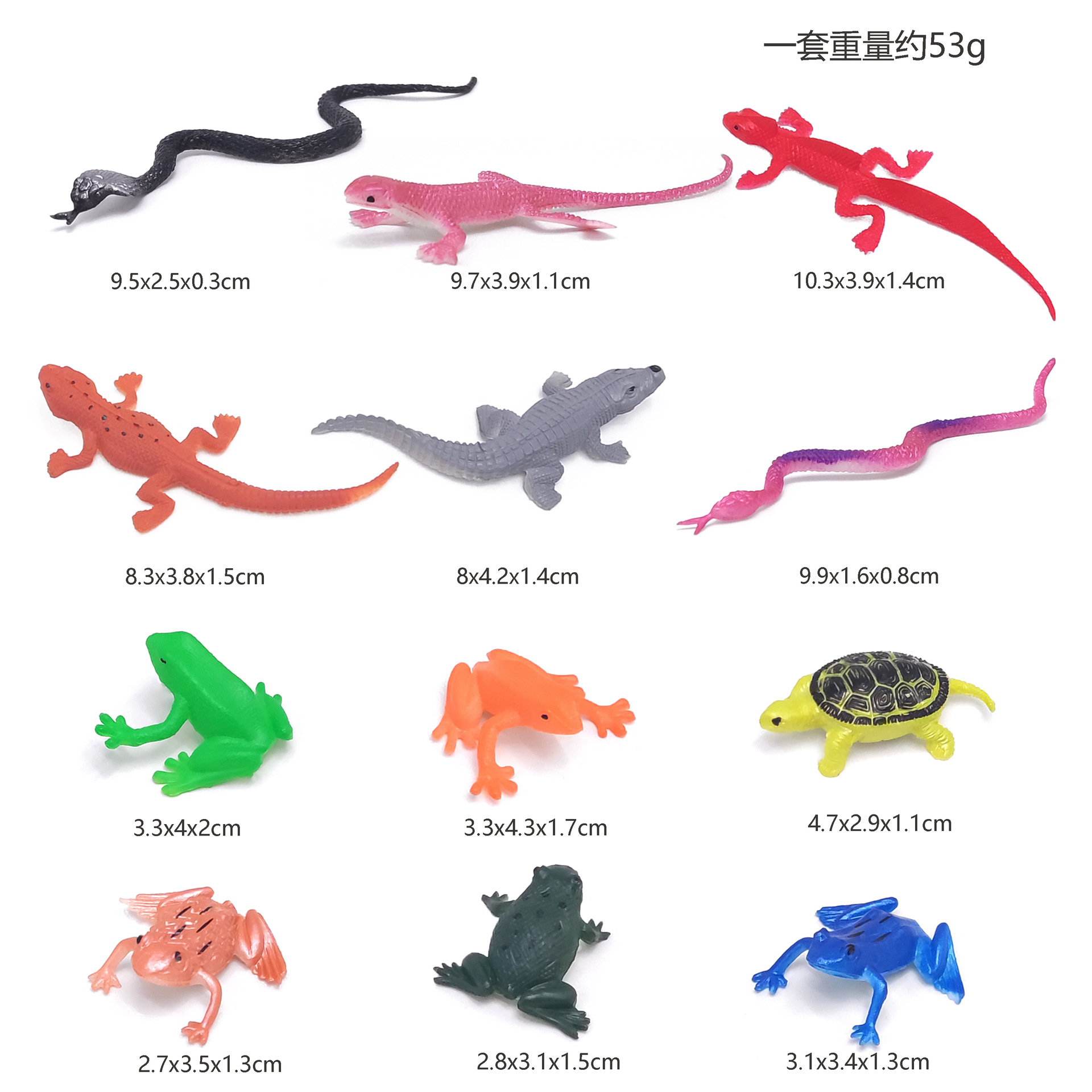 파충류 12 마리 [가방]