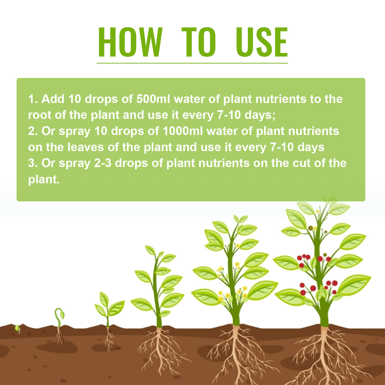 Root Growth Enhancement
