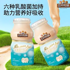 リス3匹 _ 乳酸菌飲料24本朝食ミルク箱セット飲食品携帯夏渇き解消飲料ギフトボックス