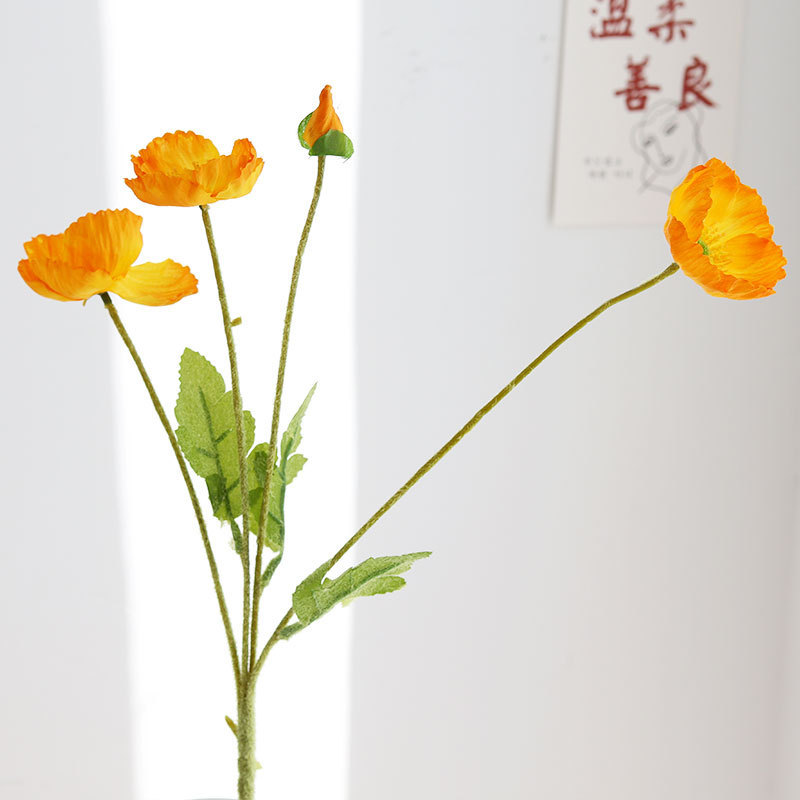 오렌지