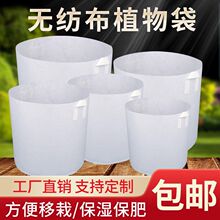 无纺布种植育苗袋子园林营养袋容器绿化加厚苗木植物种树果苗