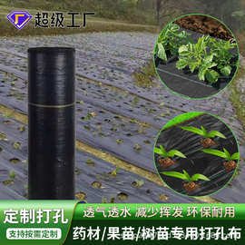 中药材定制打孔防草布苗木花卉带孔除草膜农用透水保湿菜地除草