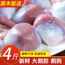 4���b���r�Z�Ӵ��Z�ƴ��Z������Z���Z���Zθ���r�Z�s��S���]