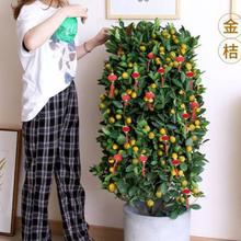 ������Ԏ��������������_�I���w��ۘ������ɰ�ٿ͏d�ļ���