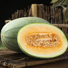 ���ں��Ϲ��ܹ�5/9�������۹Ϯ������rˮ�����������۾W�y������