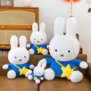 �׷���ë�q�����U��˹������ż������Ϧ�Y�����Ǳ�����������