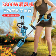 ���Q�늱����L�ȴ��҉m���I���L�C���ʏ����u݆���L�Cϴ܇���m