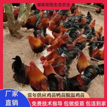 �������h���u����w�të���u�������һ���g�r����B�ߵ����u�׻�