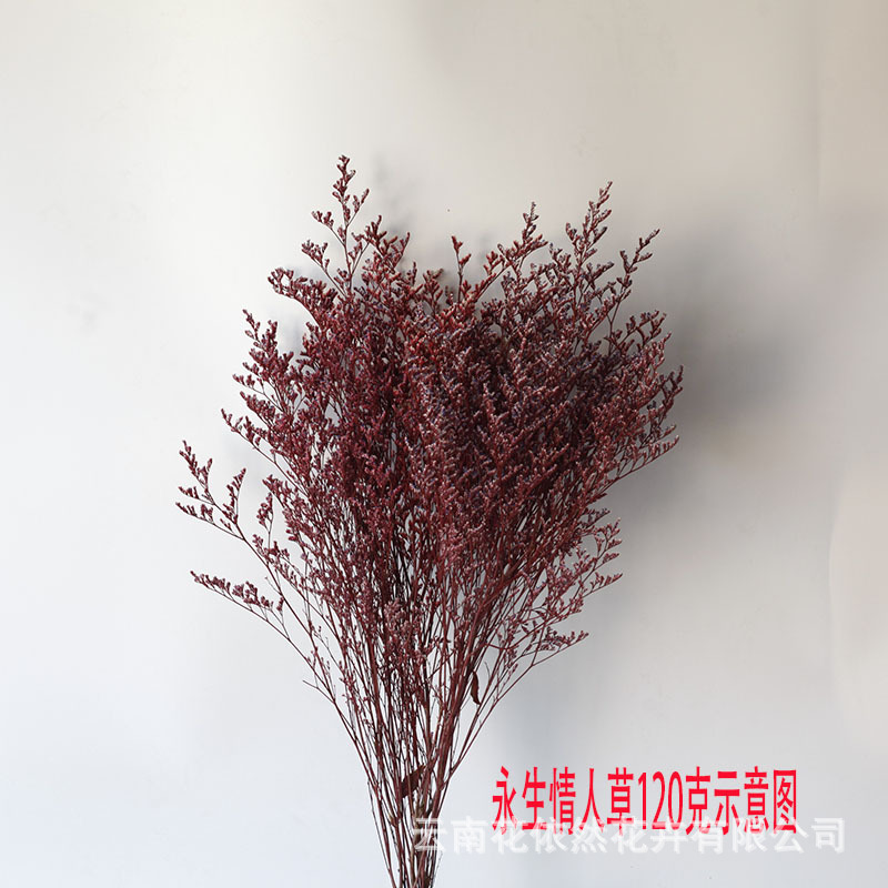 Flor seca Flor eterna Gypsophila Bola de oro No me olvides Flor seca Rosa hoja de eucalipto Pine Fruit Lover Grass al por mayor