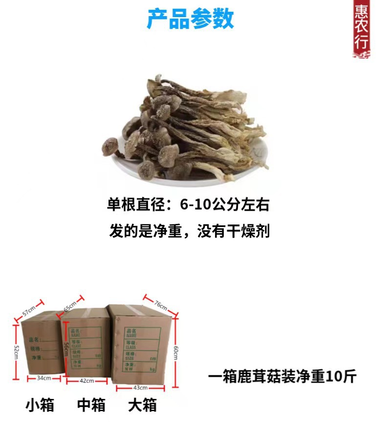 Dried Lyophyllum decastes Mushrooms Lu Rong Gu 60g Culinary Soup and Stir Fry Fungi in use