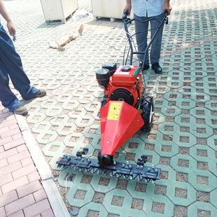 Shandong Factory Direct Supply Hand Push Gasoline Lawn Mower Pastoral Farm Hand Pull Start Diesel Lawn Mower