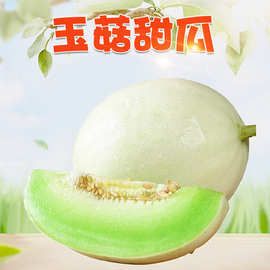 山东玉菇甜瓜 5斤礼盒新鲜冰激凌甜瓜应季水果非玫珑瓜
