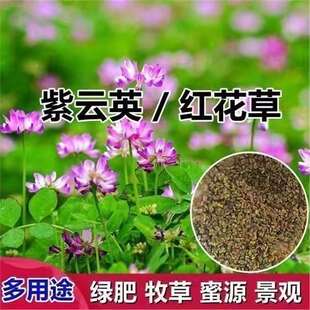 ˮ�������Ӣ�N�Ӽt����ʳ��Ұ���B����Դ�̵��G��ֲ��߮a���ѷN