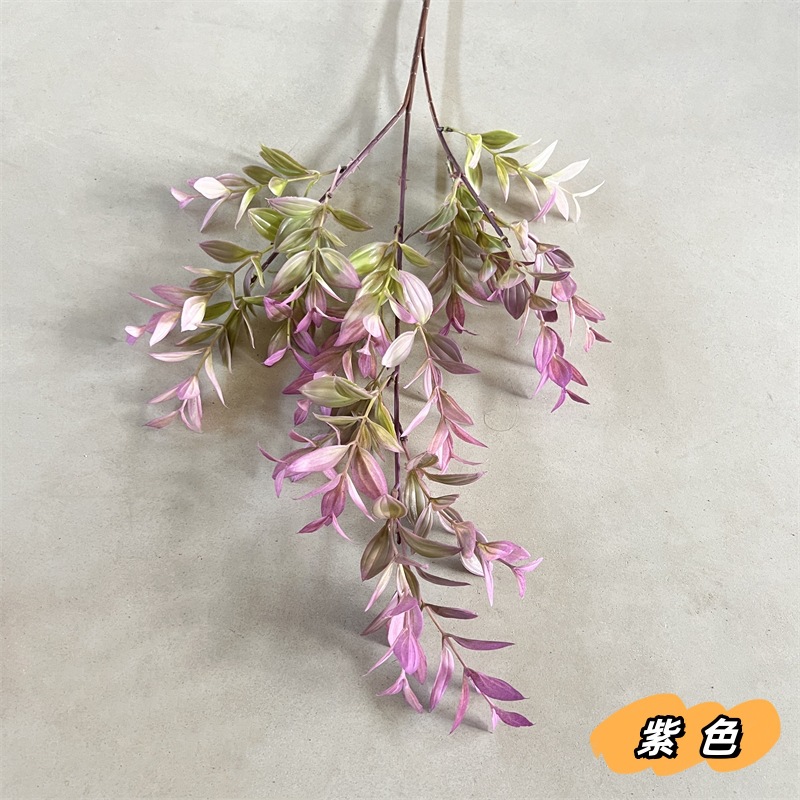 보라색