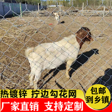 网热隔离镀锌铁丝网圈狗户外勾花网养殖网防护网围栏网牛羊猪围网