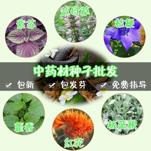 �N�I���l С�~�S��N�� �ͺ��ͺ��͝� �|���S��ľ�N ���r�S��N��