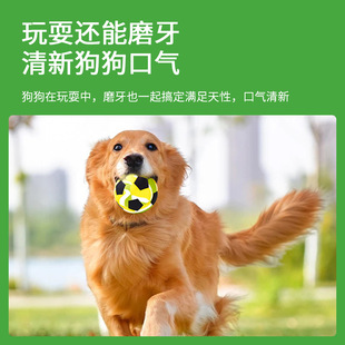 �����z��ҧ���S�������z�������ҧĥ���␞��ë������Ʒ����Ȯ