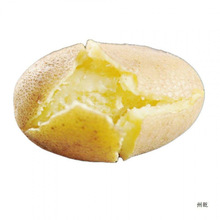 甘肃定西年土豆马铃薯/斤沙面粉糯黄皮白心黄心土豆批批发