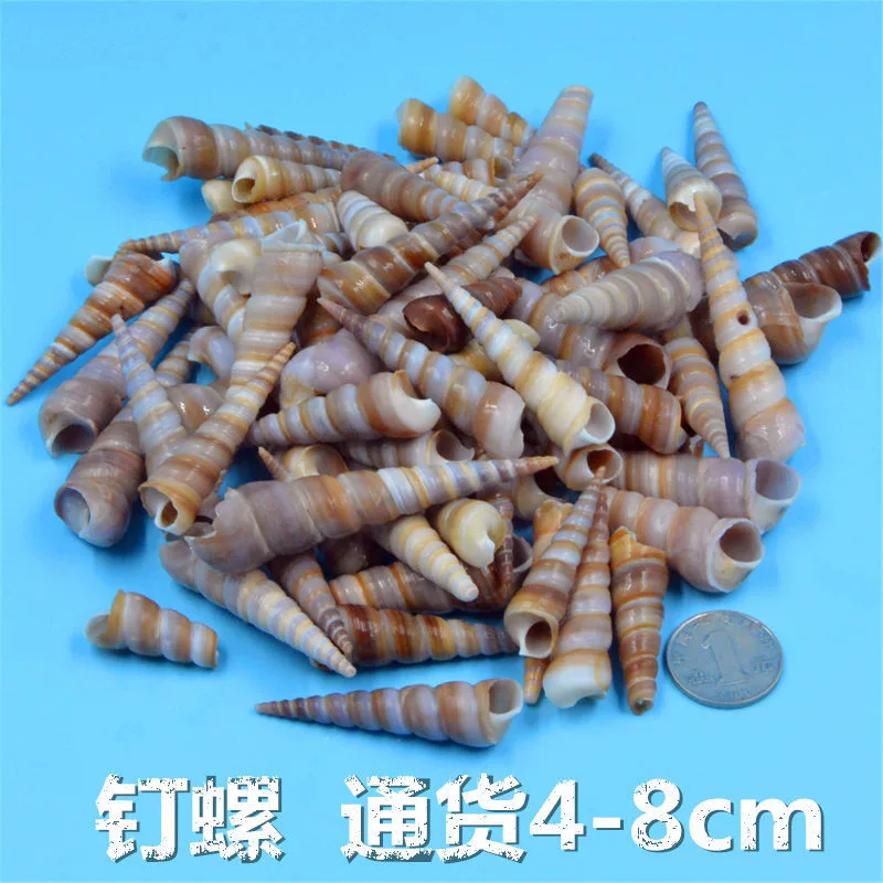 Organic creative toy handmade for kindergarten, aquarium, materials set