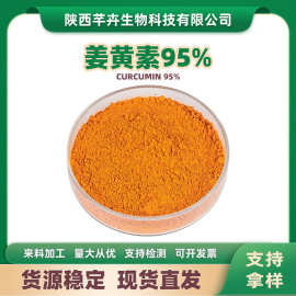 姜黄素95%姜黄素粉末姜黄素原料458-37-7姜黄提取物姜黄色素包邮