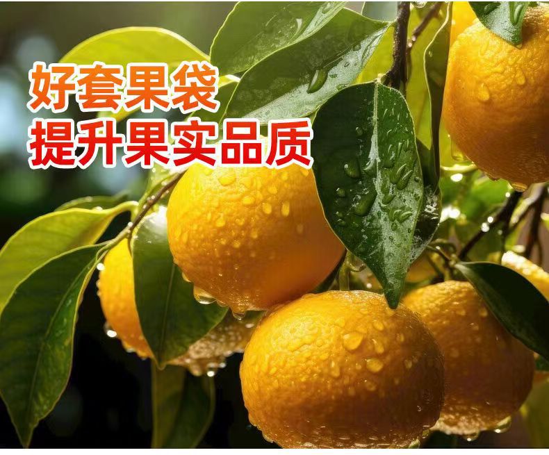 微信图片_20240702160921