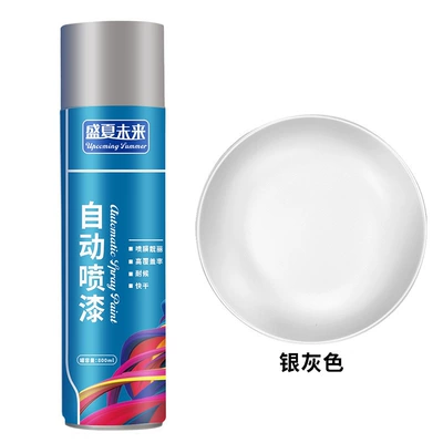 Automatic spray paint for rust — Avtomobil boyası - silver-gray-1-bottle-800ml