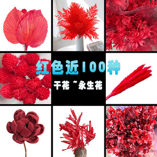 ��tɫ �������ɻ��ϼ��tɫ����tɫ��횲ݼtɫ���׼t�ⶹ��100�N