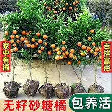 ��Ʒ�N���ڟo��ɳ�ǽۘ������Թ������ȫɰ������ˮ���������۽�