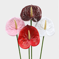 Simulated Anthurium New Year Spring Chinese New Year Dragon Year Artificial Flower Fortune Bucket Flower Arrangement Nianxiao Flower Pot Gold Anthurium Flower Shop Wholesale