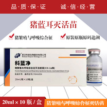 兽药兽用猪用科蓝净蓝耳疫苗致病性猪繁殖与呼吸综合征灭活疫苗