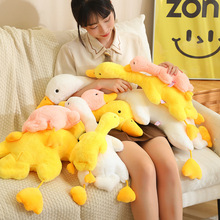 �ɐۼ����ë�qſſ�Z���������ë�q耳׿ۄ�����ץ�C�������l