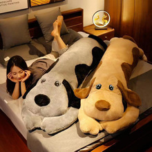 ɐëſſ̖żɲϴLlëqŮϱ˯